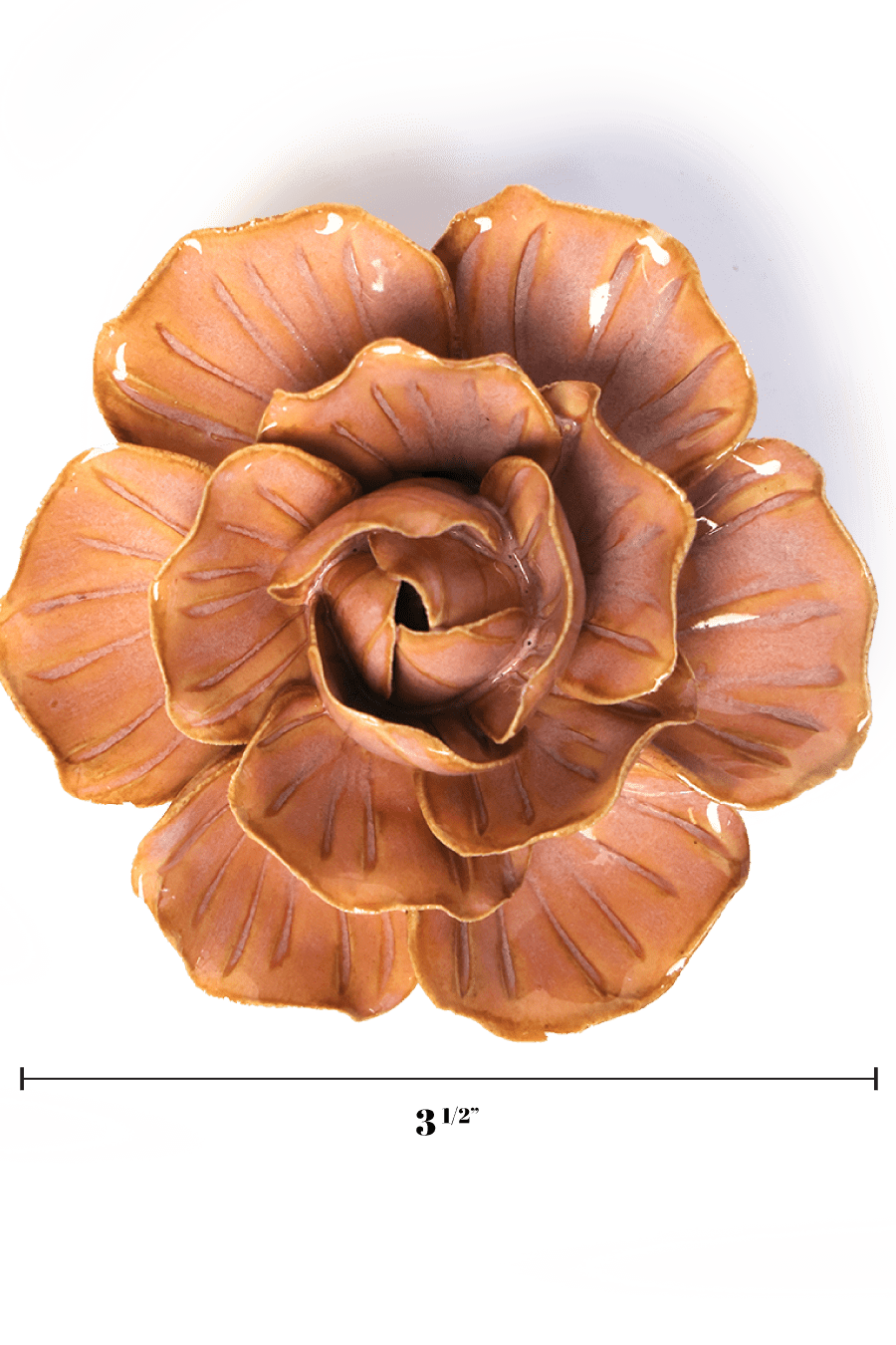 Peach Pink Solar Carnation - Chive UK