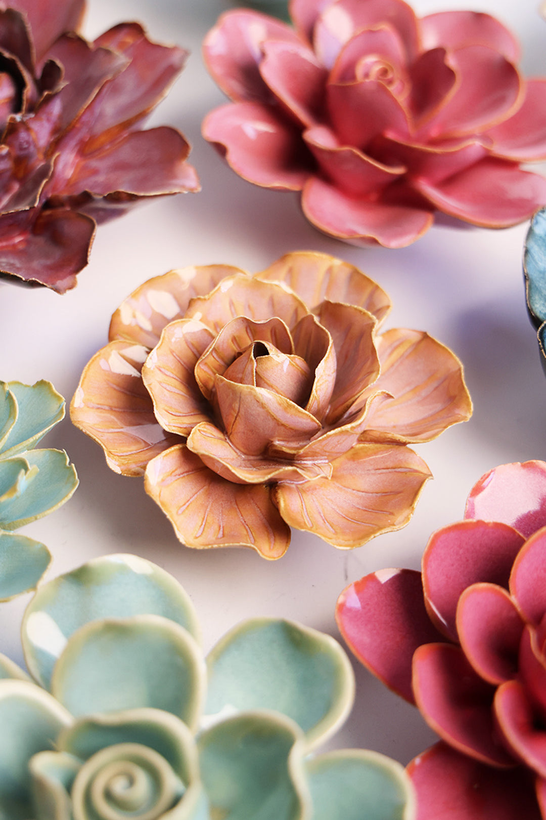 Peach Pink Solar Carnation - Chive UK