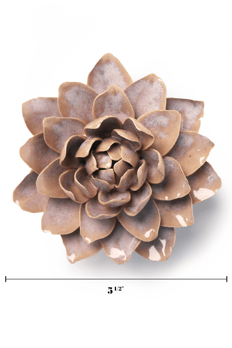 July Birth Flower - Waterlily - Chive UK