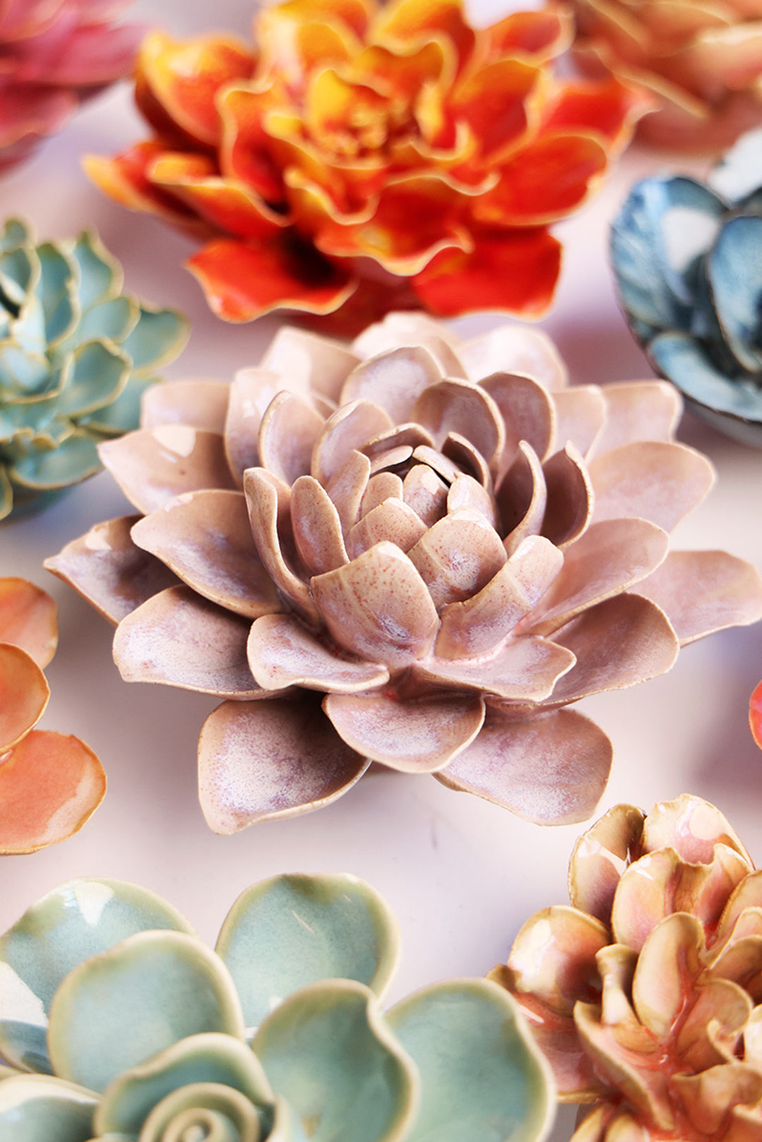 July Birth Flower - Waterlily - Chive UK