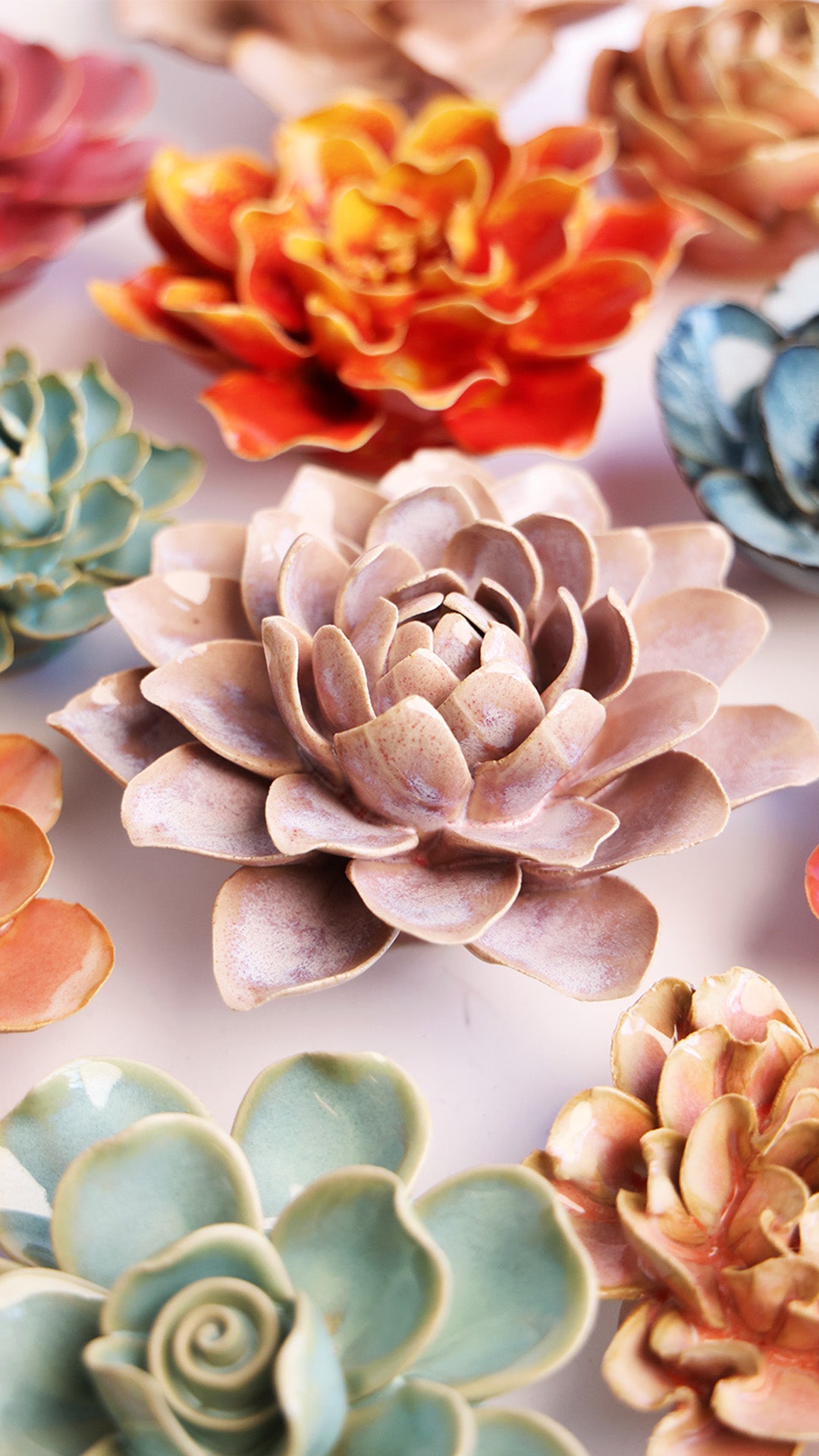 July Birth Flower - Waterlily - Chive UK