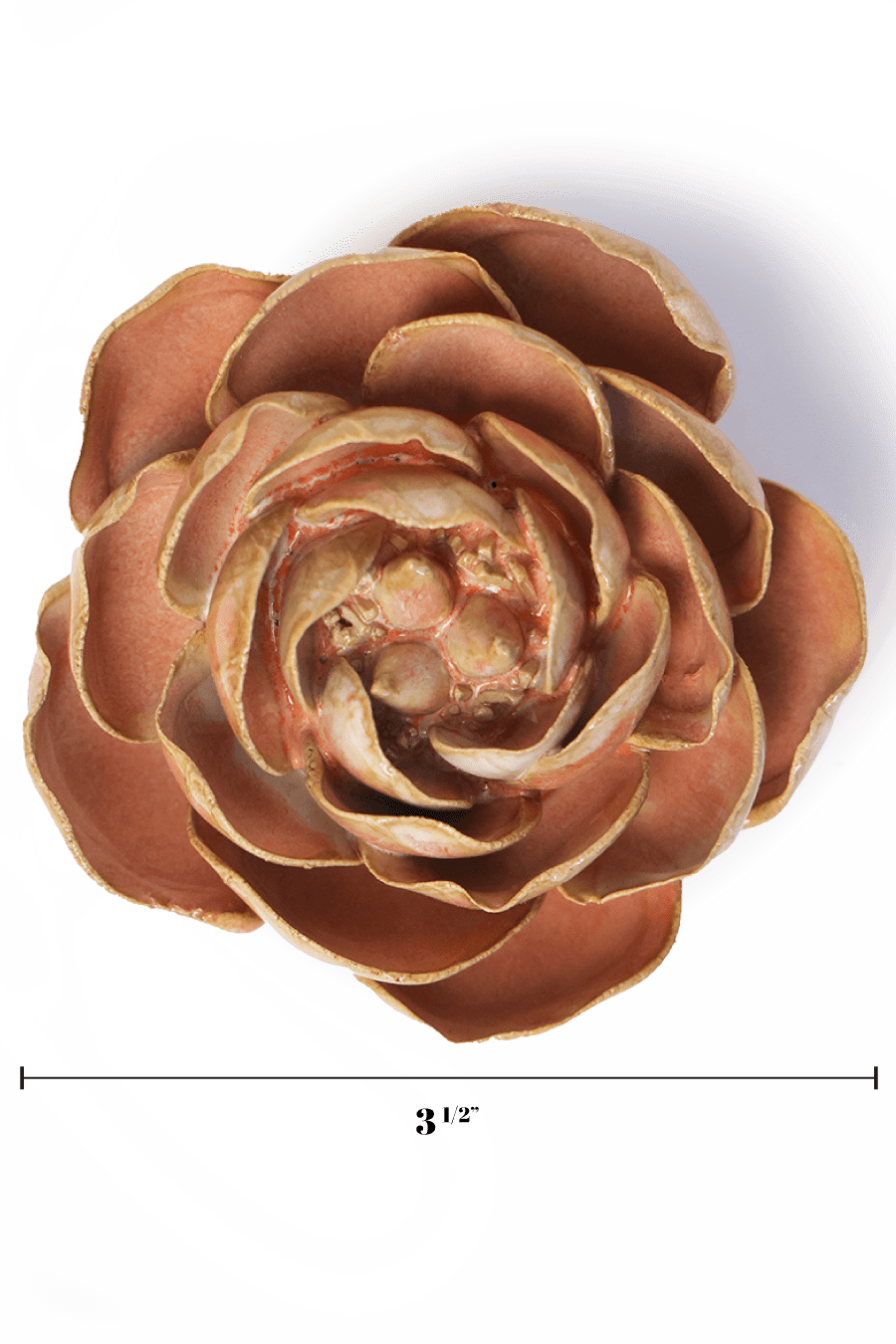 Peach Pink Big Ben Peony - Chive UK