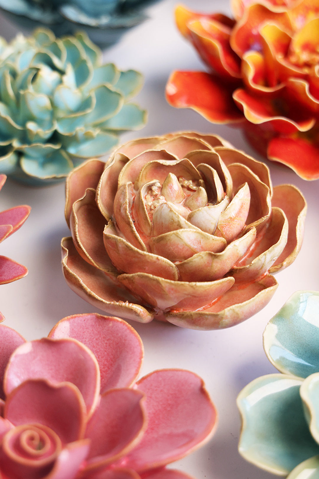 Peach Pink Big Ben Peony - Chive UK