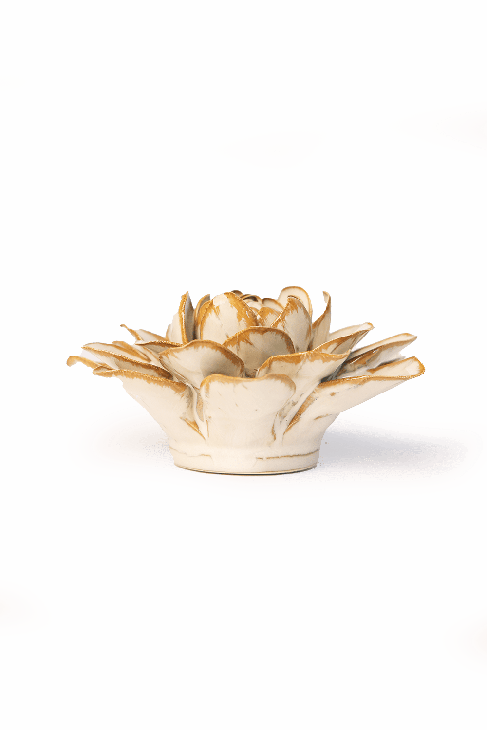 Oatmeal Starbrite Water Lily - Chive UK