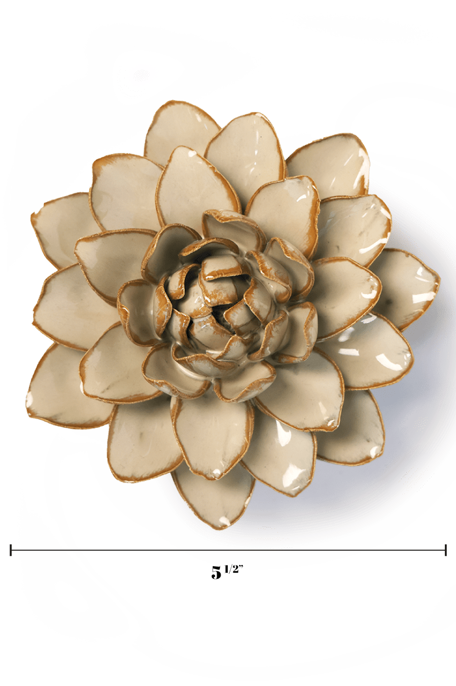 Oatmeal Starbrite Water Lily - Chive UK