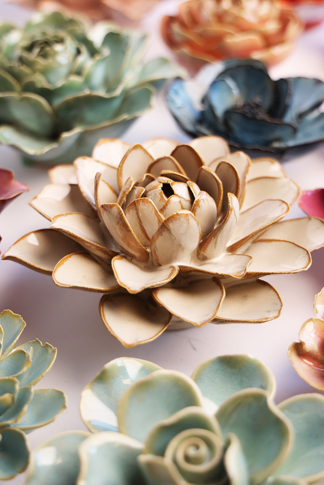 Oatmeal Starbrite Water Lily - Chive UK