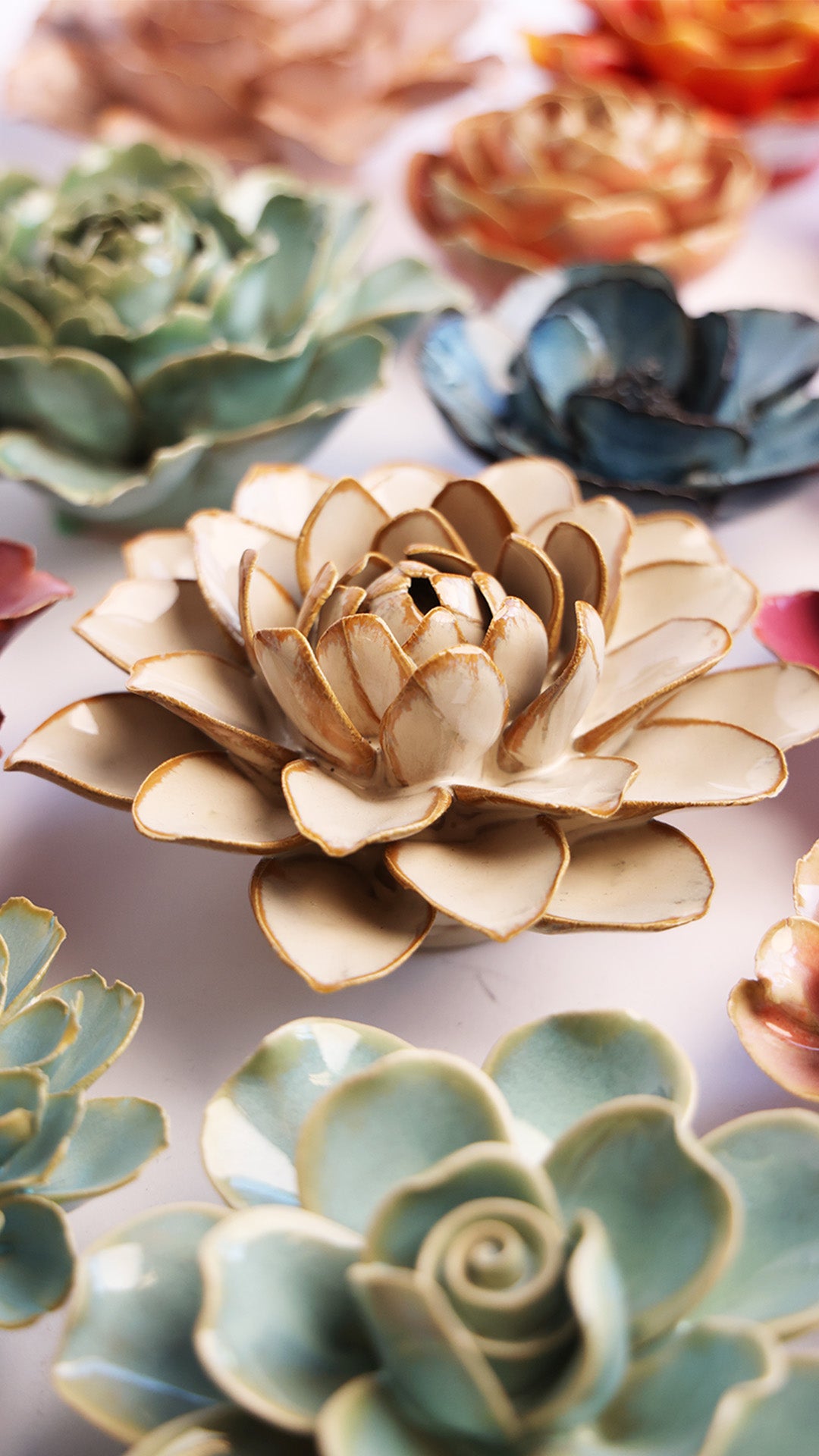 Oatmeal Starbrite Water Lily - Chive UK