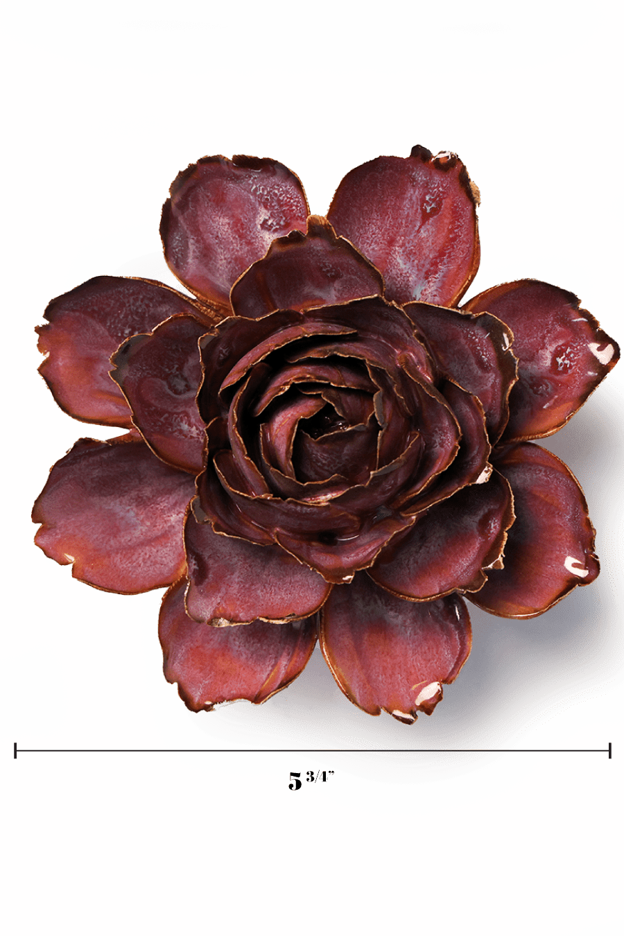 Dewberry Camellia - Chive UK