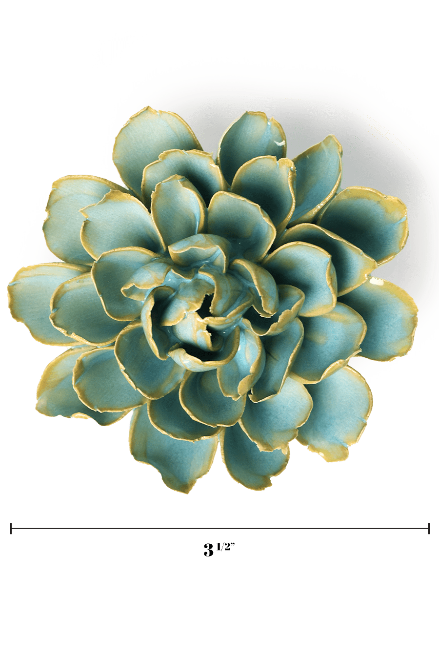 Robin's Egg Blue French Marigold - Chive UK