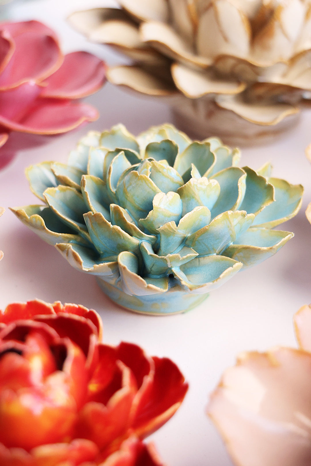 Robin's Egg Blue French Marigold - Chive UK