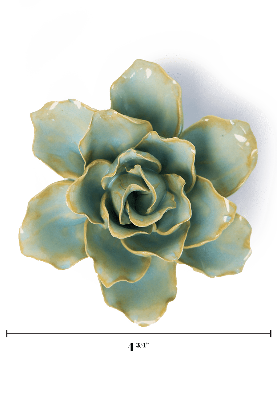 Robin's Egg Blue Stargazer Lily - Chive UK