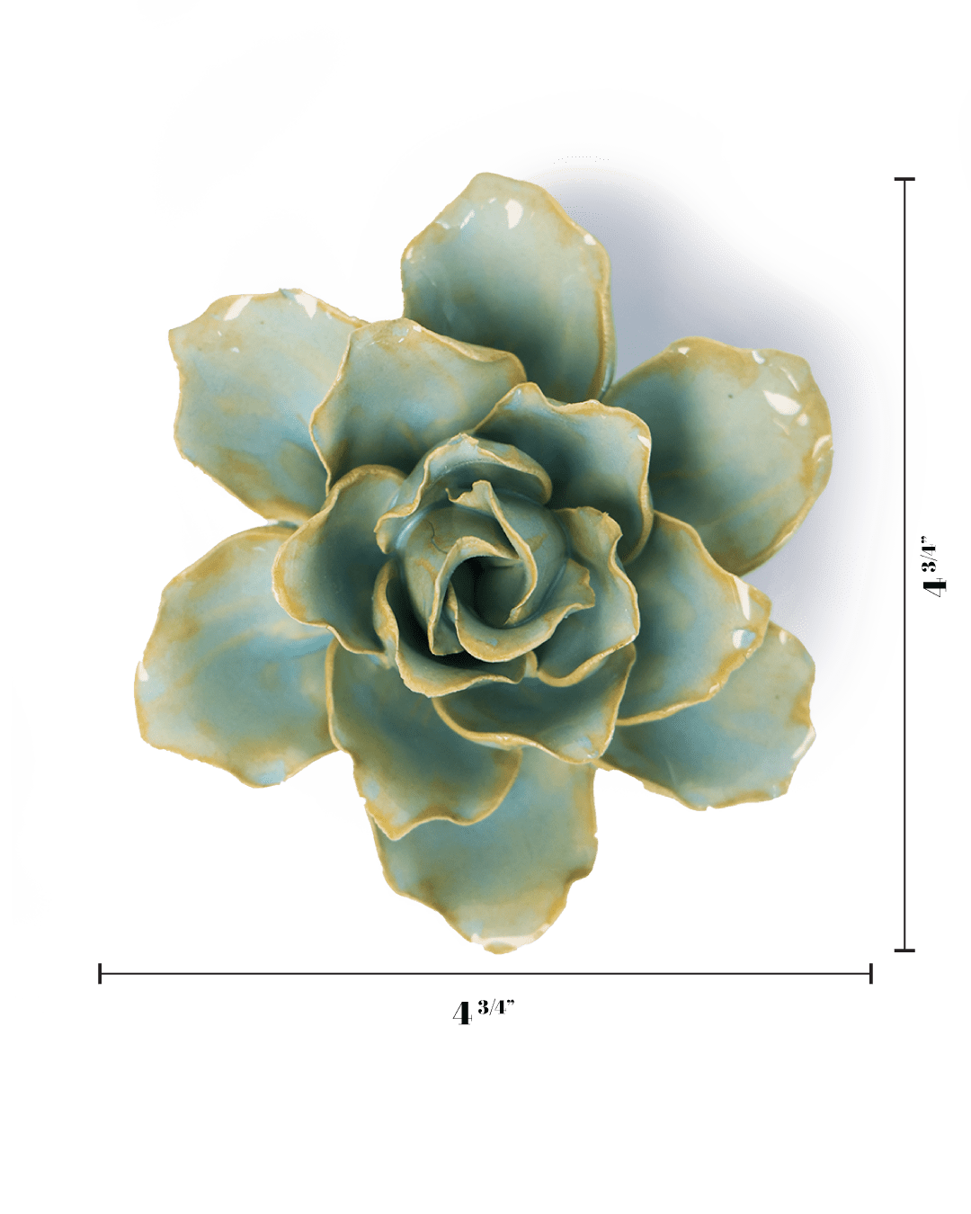 Robin's Egg Blue Stargazer Lily - Chive UK