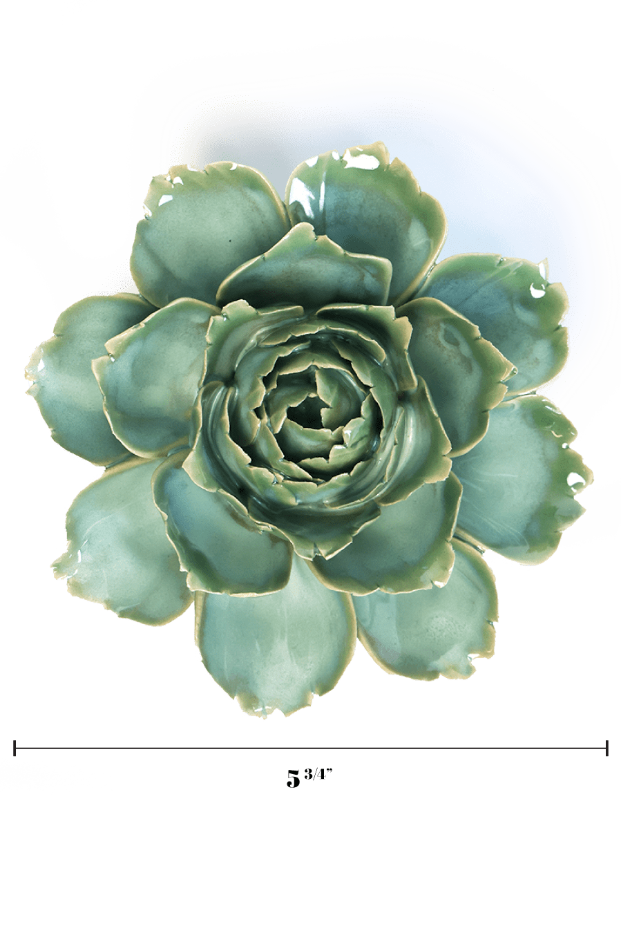 Milk Teal Camellia - Chive UK