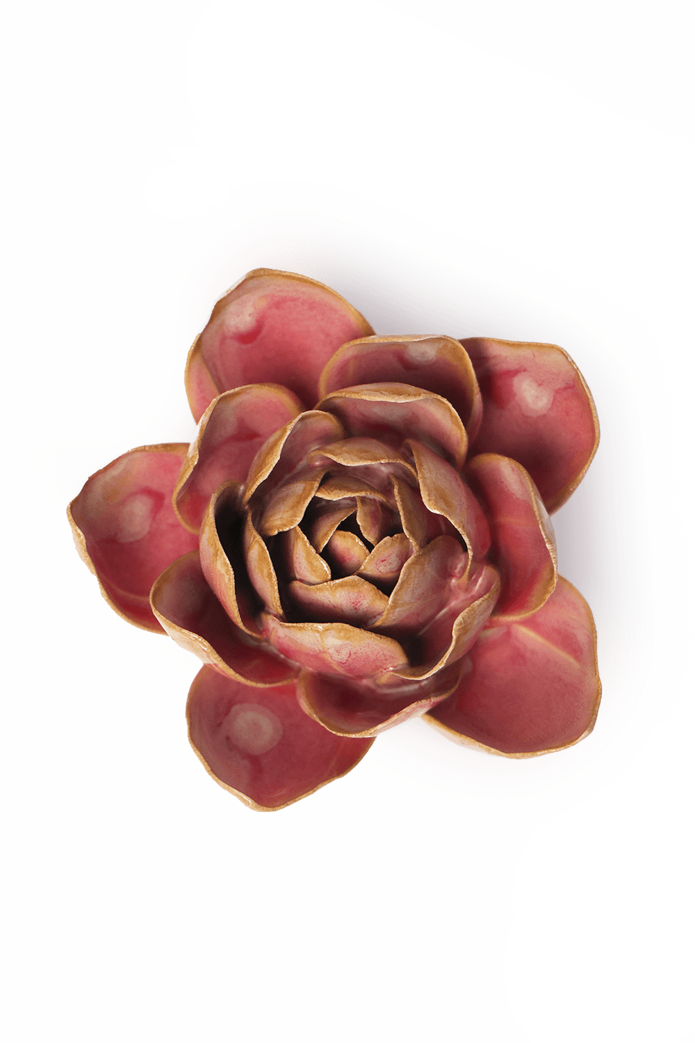 December Birth Flower - Narcissus - Chive UK