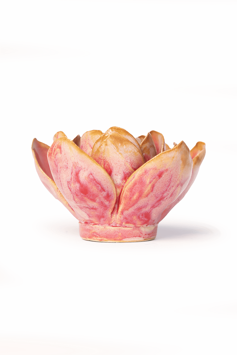 December Birth Flower - Narcissus - Chive UK