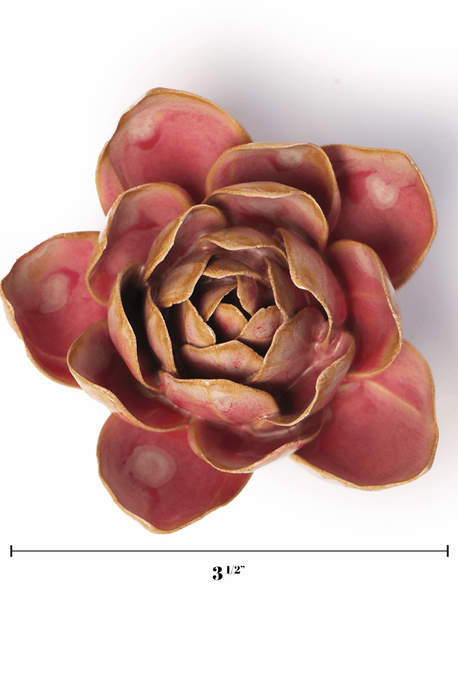 December Birth Flower - Narcissus - Chive UK