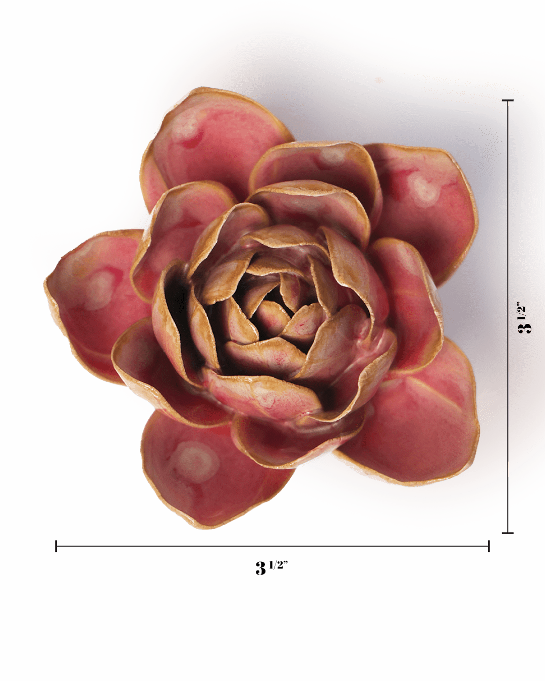 December Birth Flower - Narcissus - Chive UK