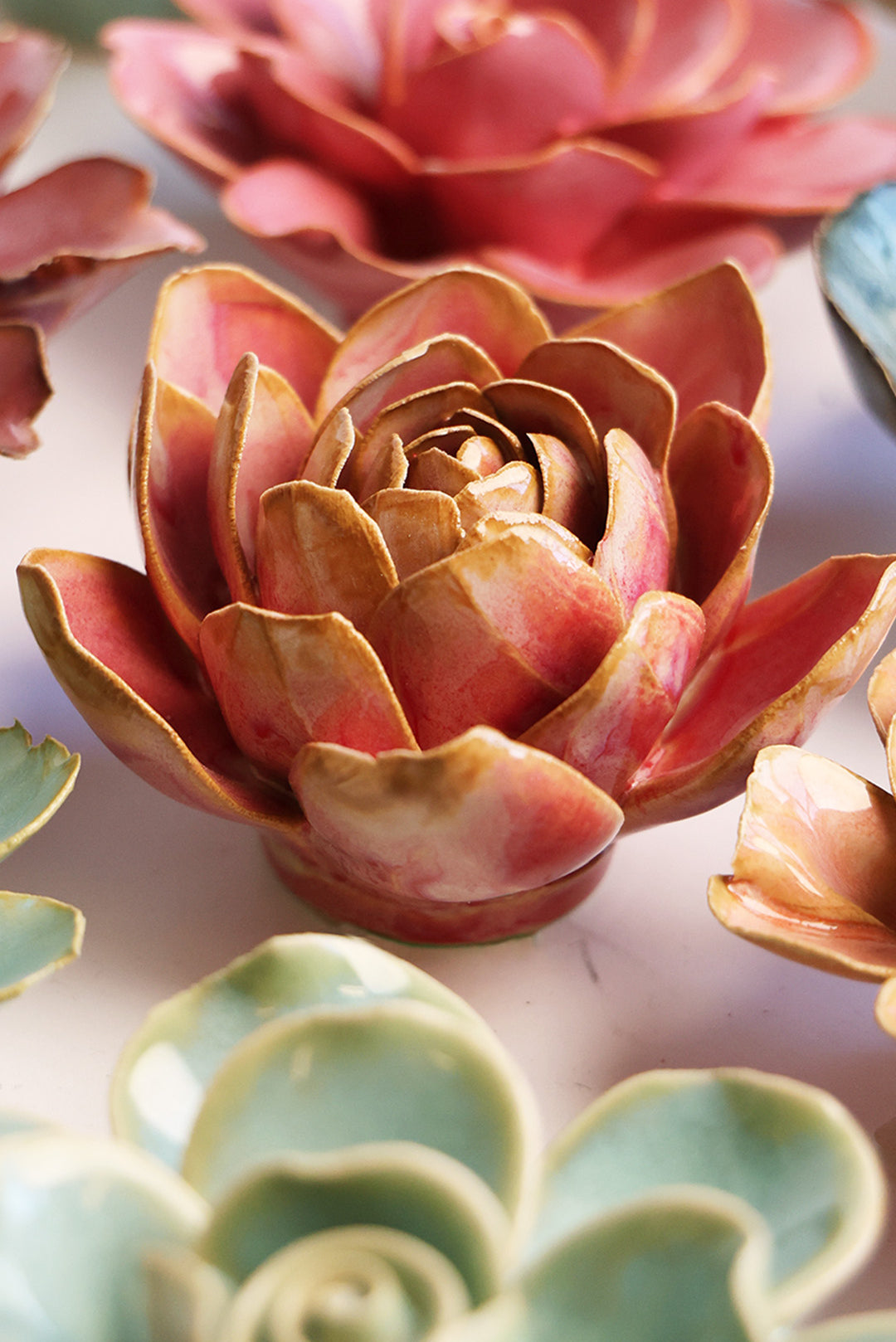 December Birth Flower - Narcissus - Chive UK