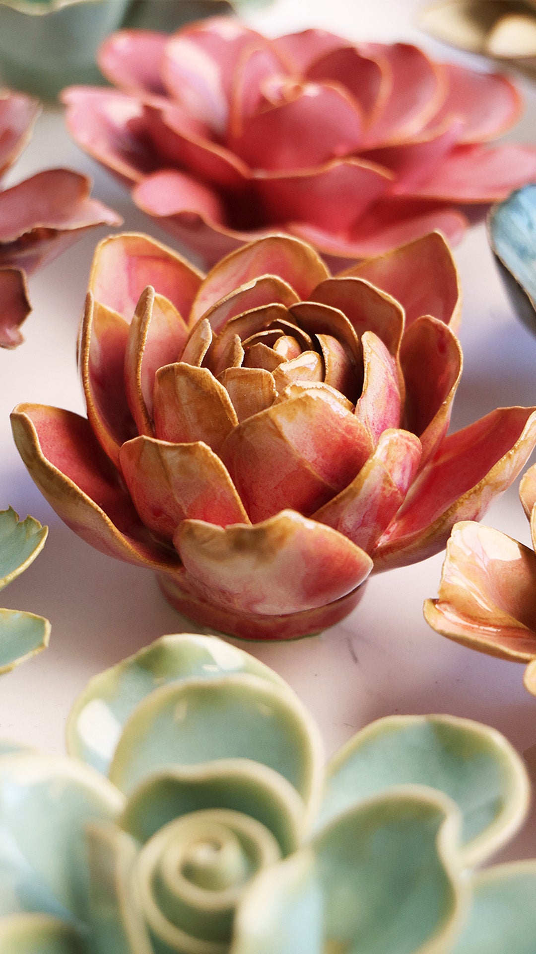 December Birth Flower - Narcissus - Chive UK