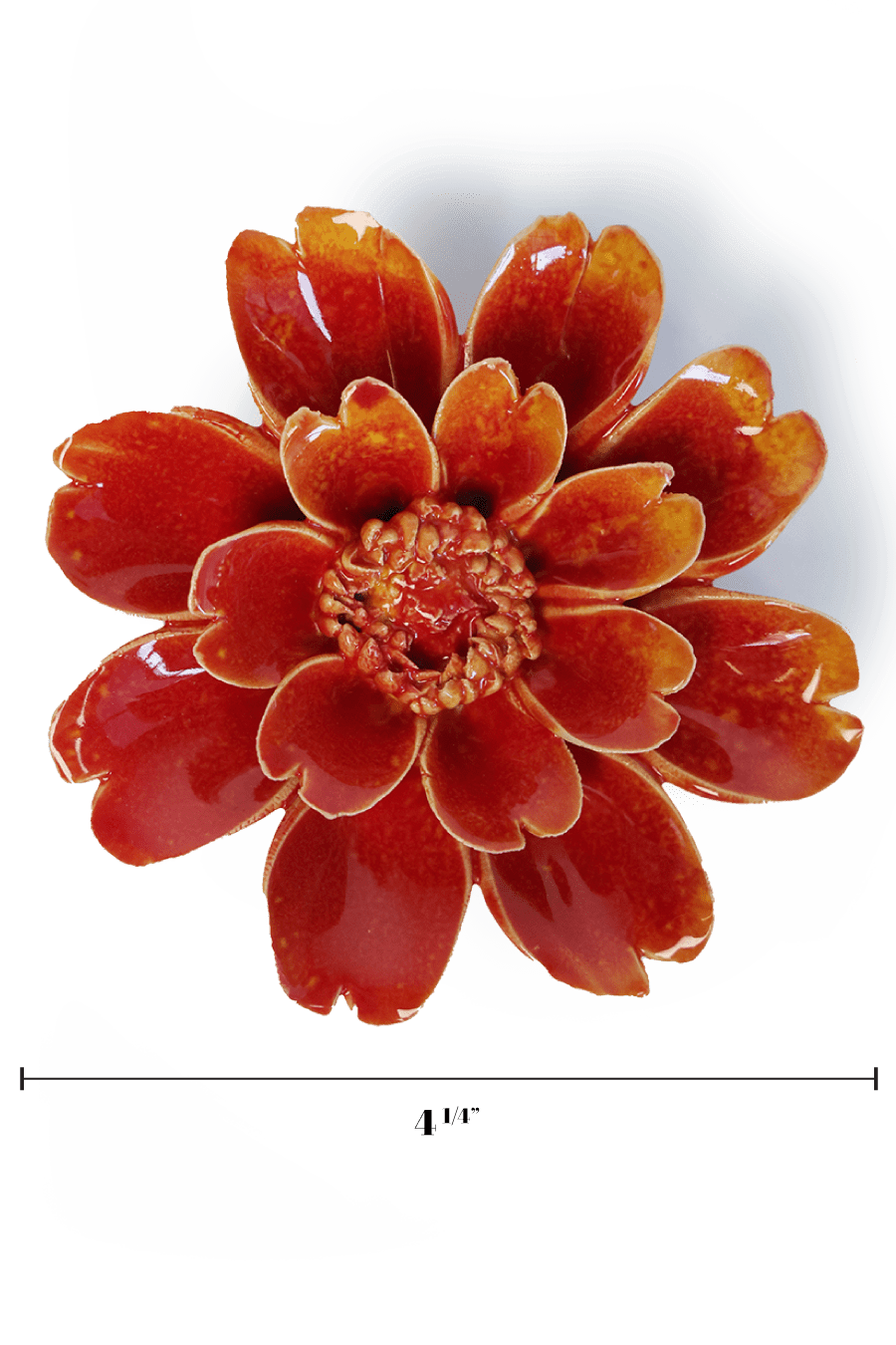 April Birth Flower - Daisy - Chive UK