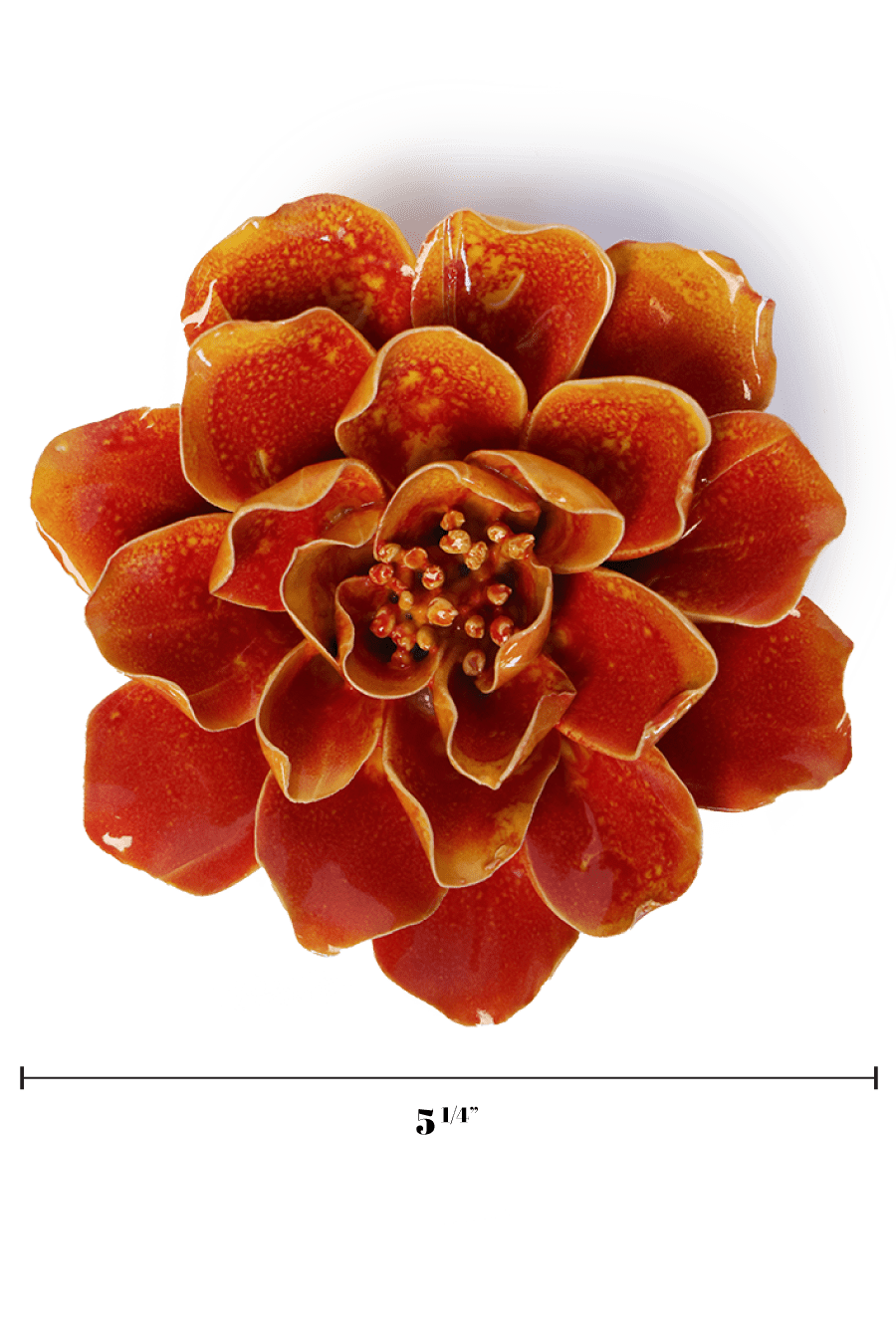 Orange Yellow Coreopsis - Chive UK