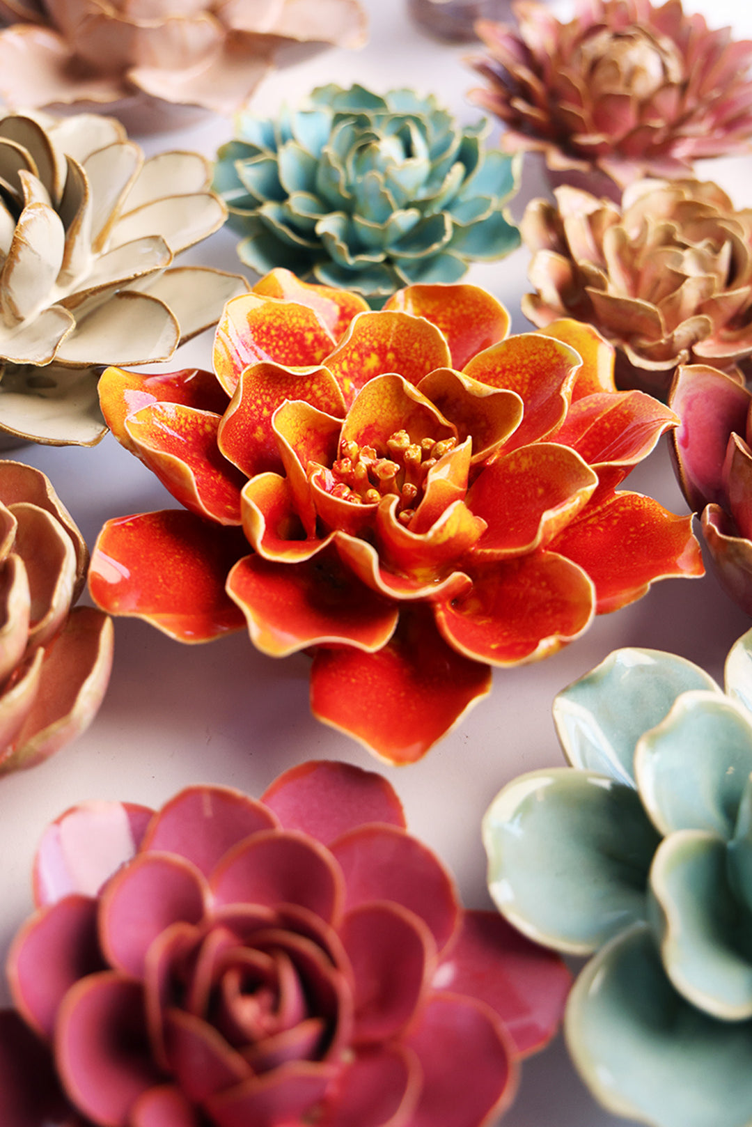 Orange Yellow Coreopsis - Chive UK