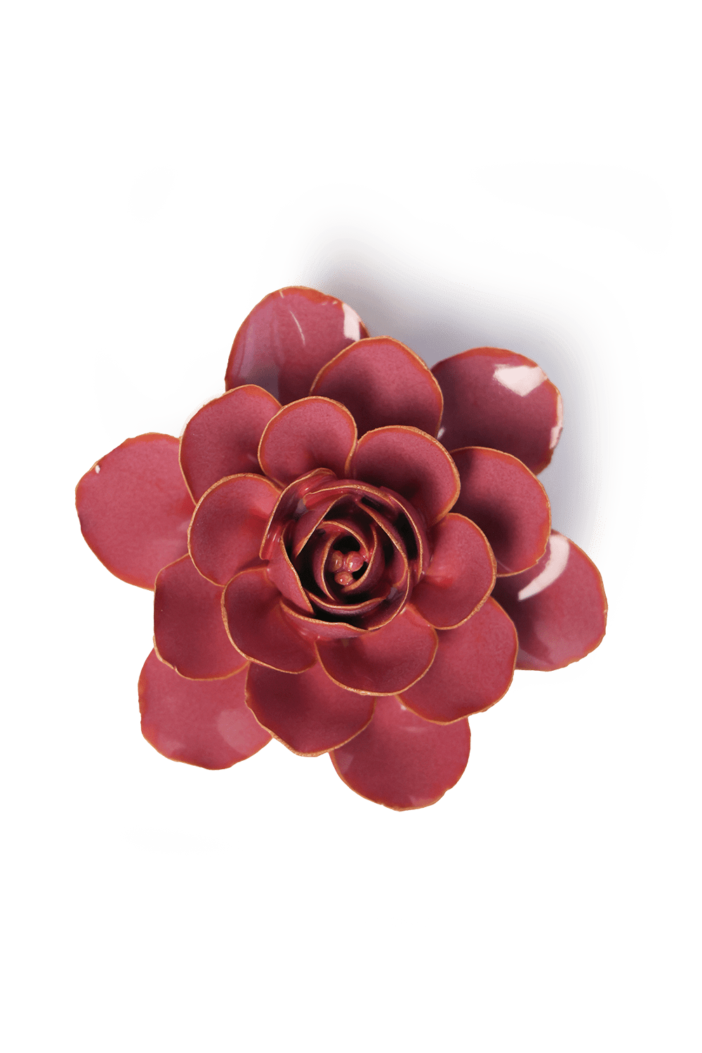 Blush Pink Begonia - Chive UK