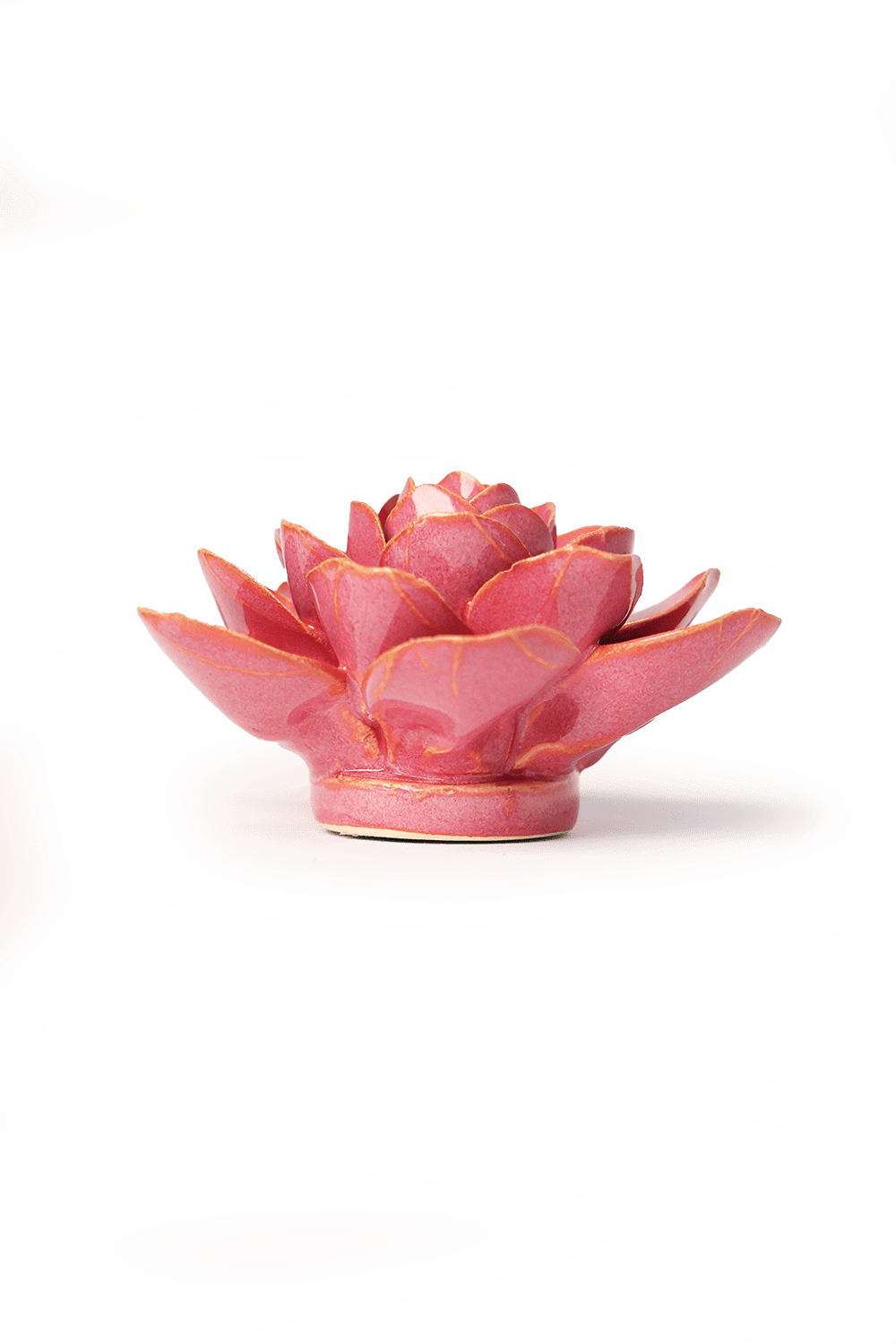 Blush Pink Begonia - Chive UK