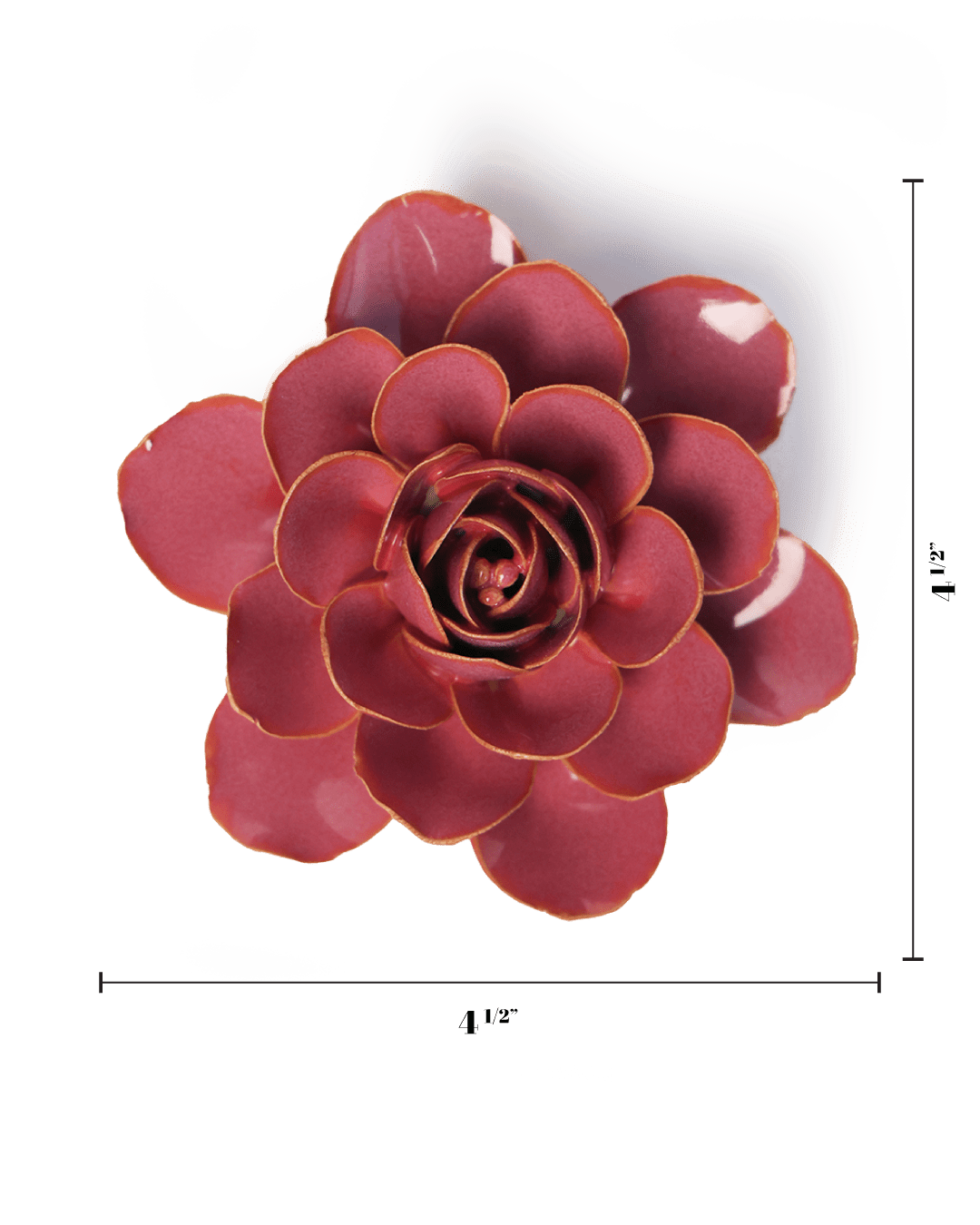 Blush Pink Begonia - Chive UK