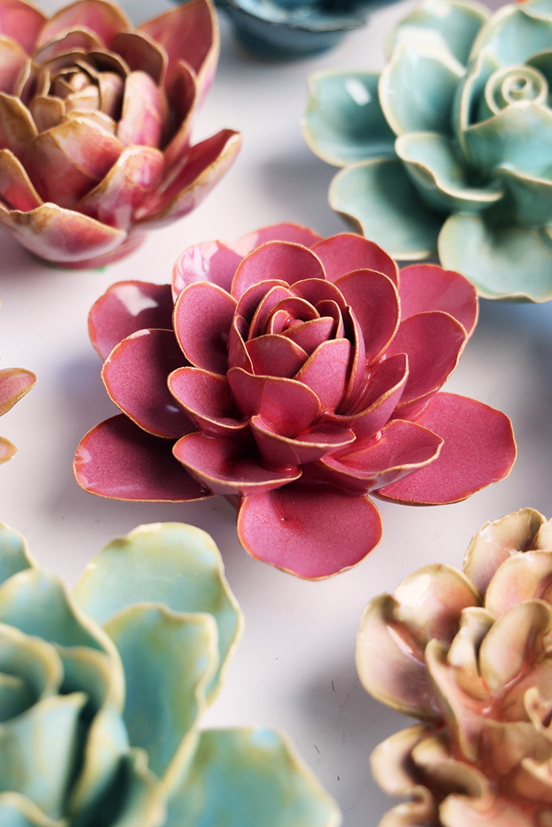 Blush Pink Begonia - Chive UK