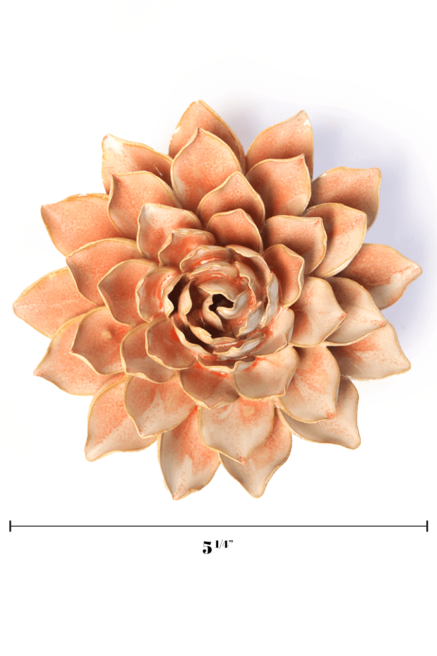 Peach Pink Madonna Azalea - Chive UK
