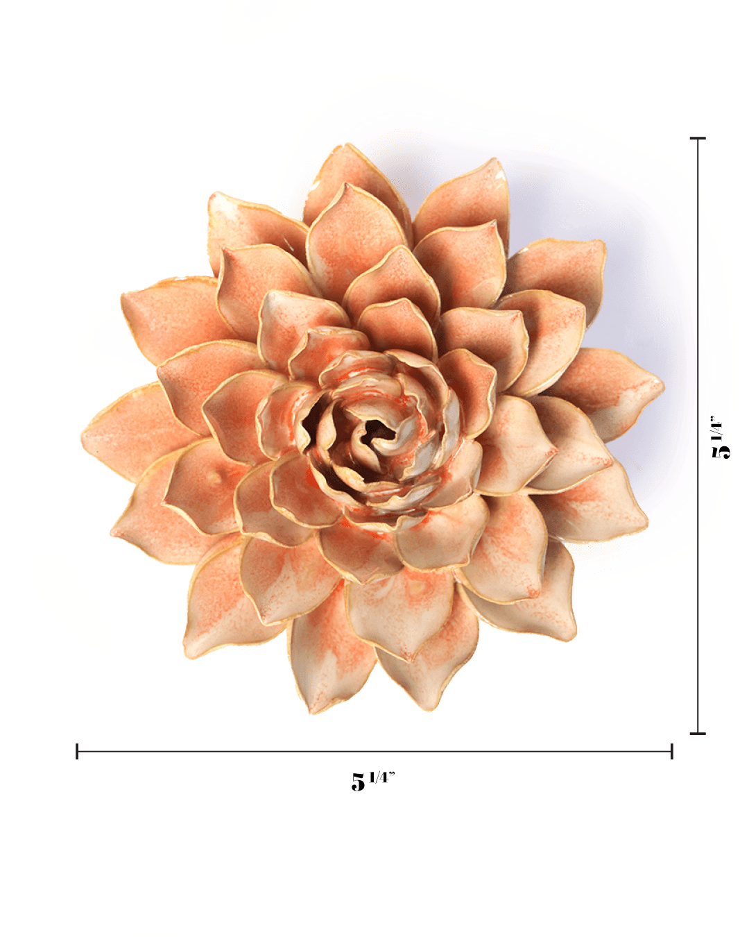 Peach Pink Madonna Azalea - Chive UK