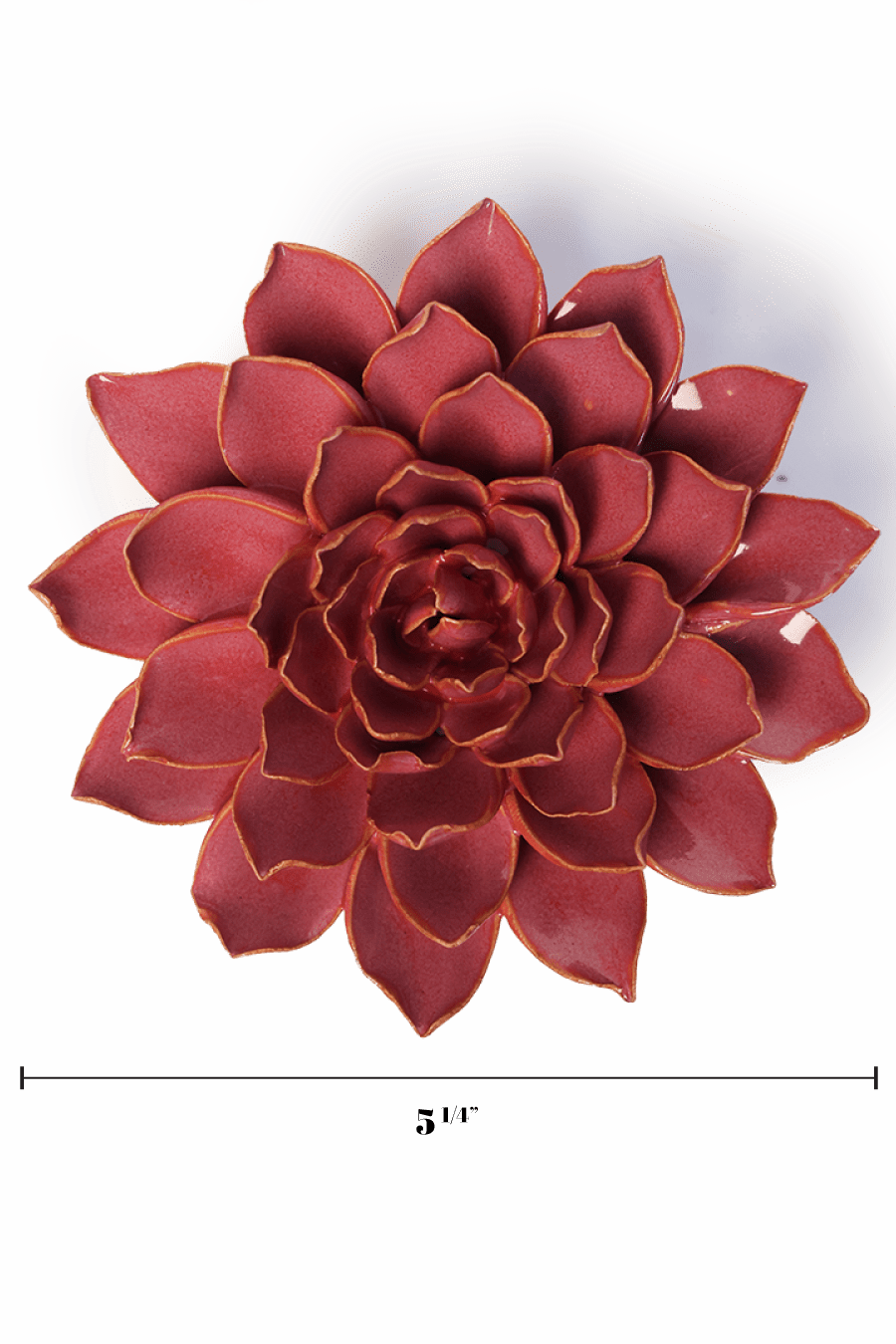 Blush Pink Madonna Azalea - Chive UK