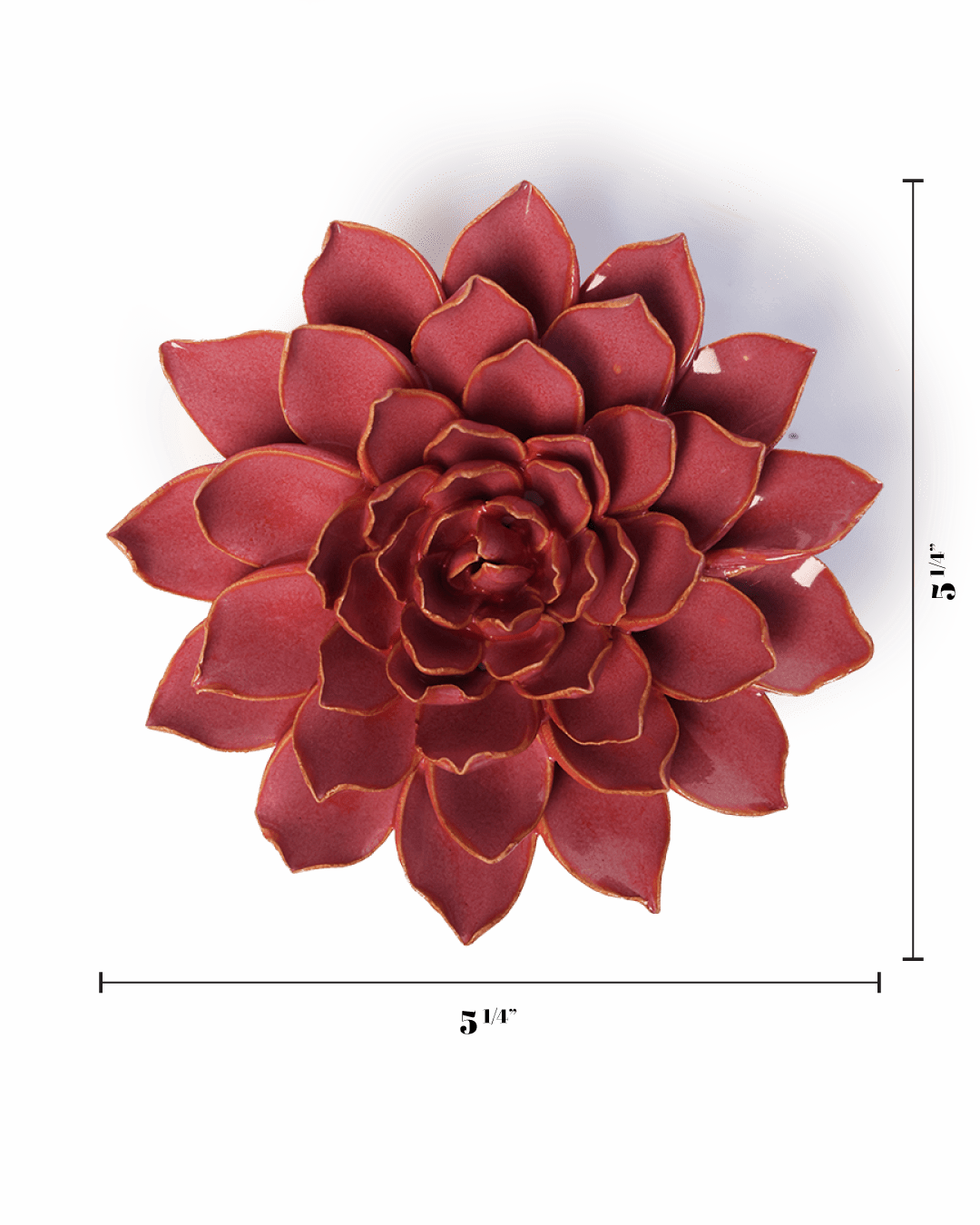 Blush Pink Madonna Azalea - Chive UK