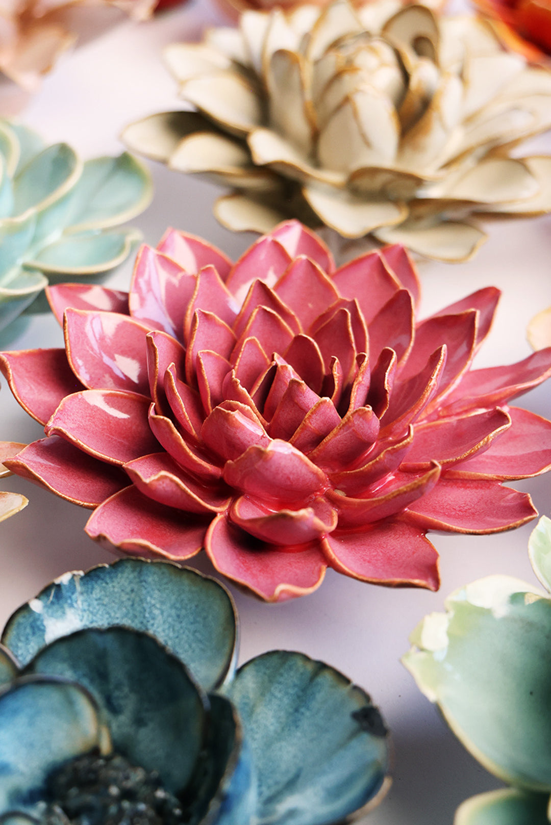 Blush Pink Madonna Azalea - Chive UK