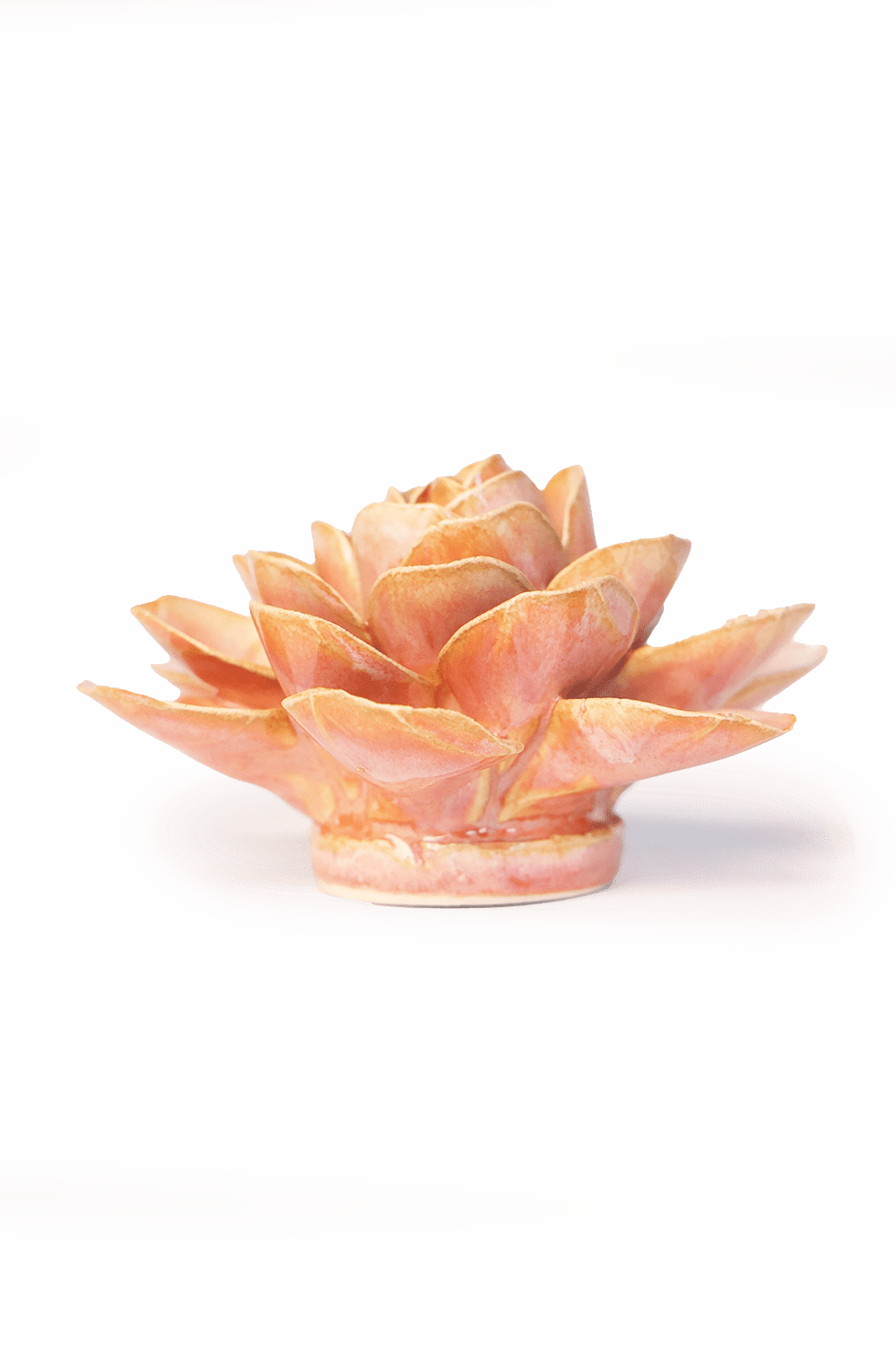 France Peach Pink Begonia - Chive UK