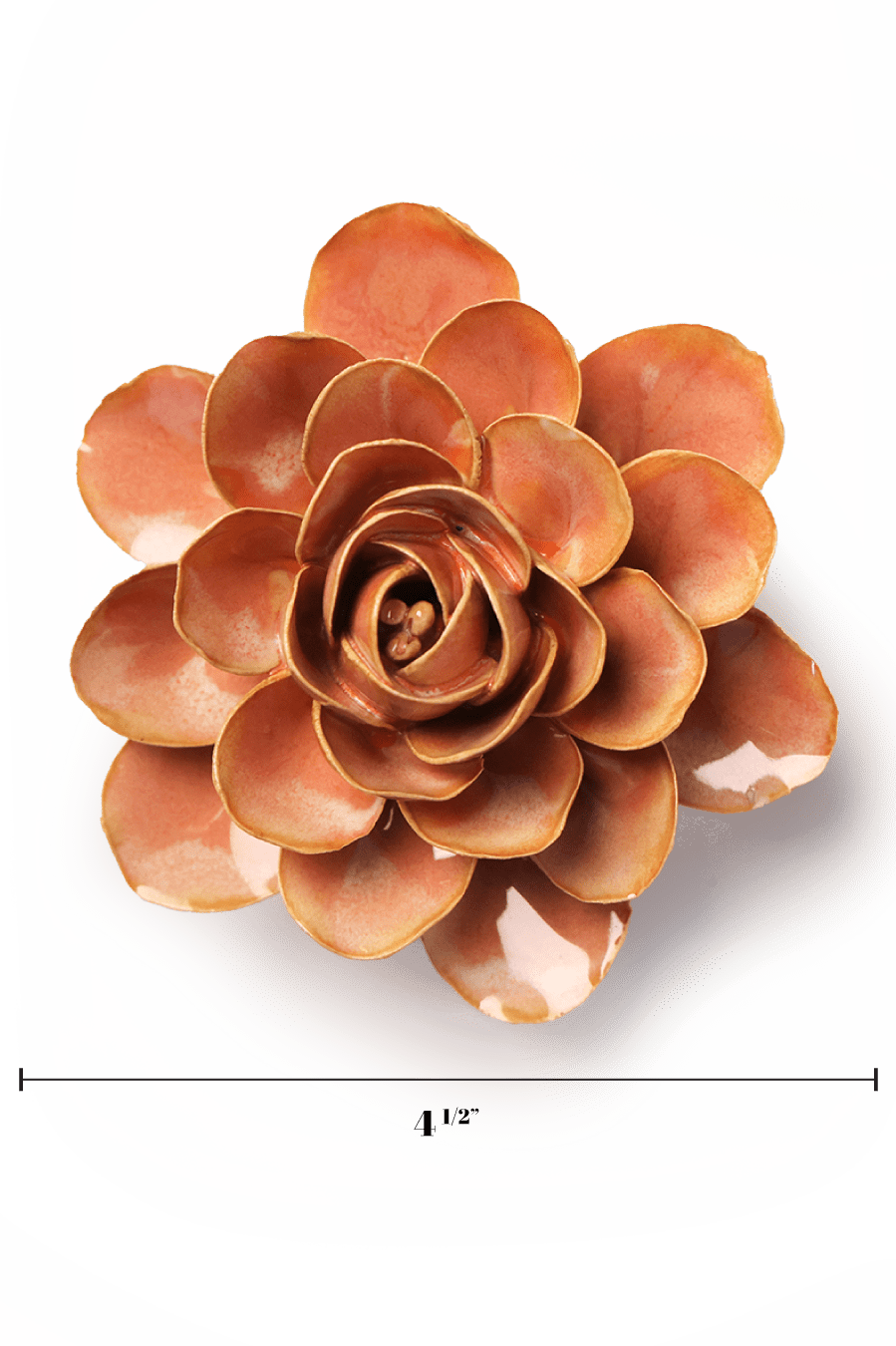 France Peach Pink Begonia - Chive UK