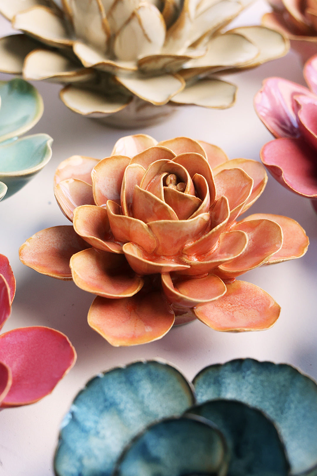 France Peach Pink Begonia - Chive UK
