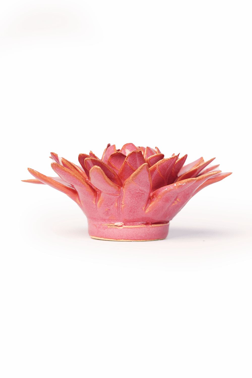 Blush Pink Strawflower - Chive UK