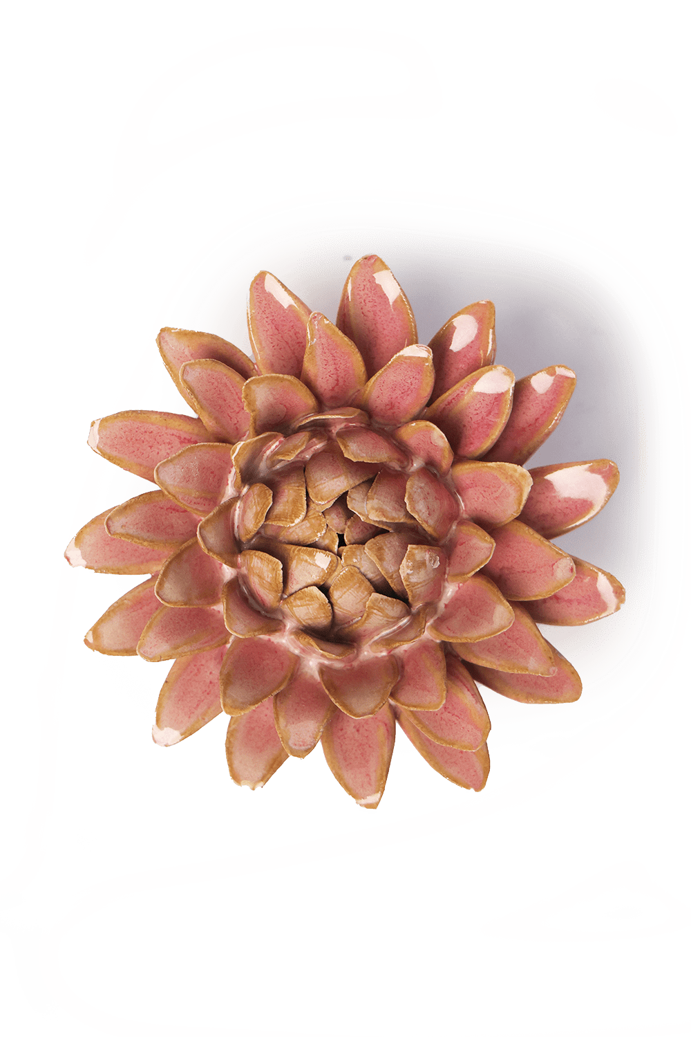 Rose Quartz Pink Strawflower - Chive UK