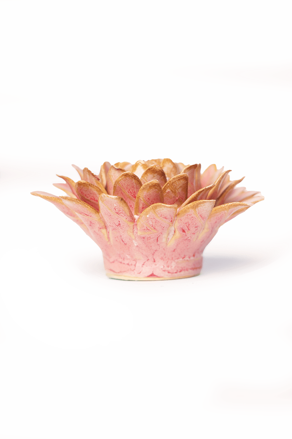 Rose Quartz Pink Strawflower - Chive UK