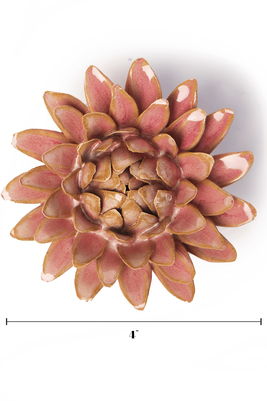 Rose Quartz Pink Strawflower - Chive UK