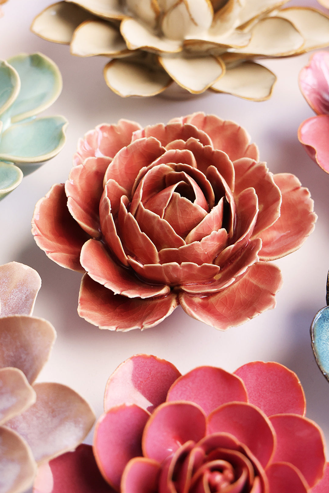 Champagne Pink English Rose - Chive UK