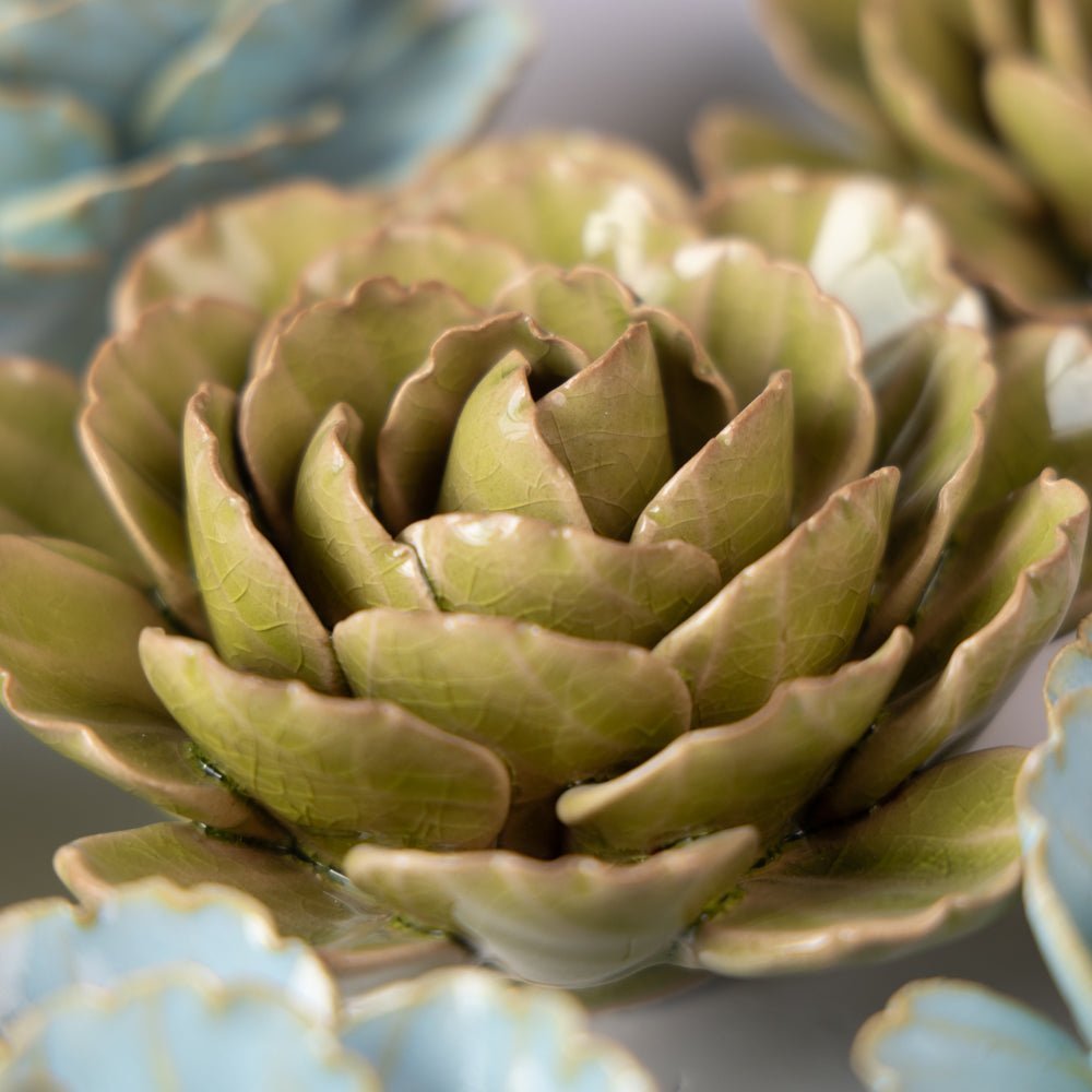 France Curated Collection 5 - Chive UK