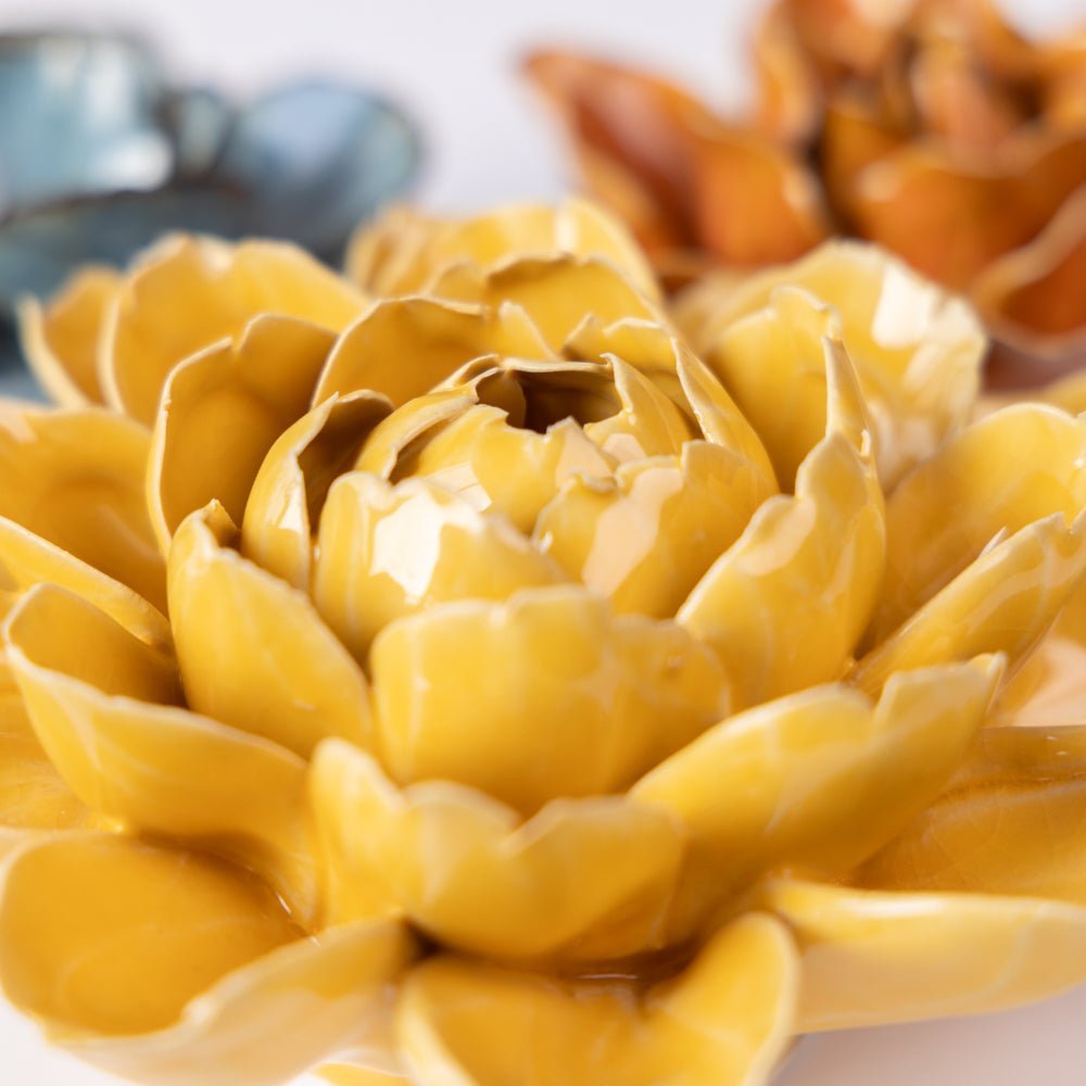 France Curated Collection 9 - Chive UK