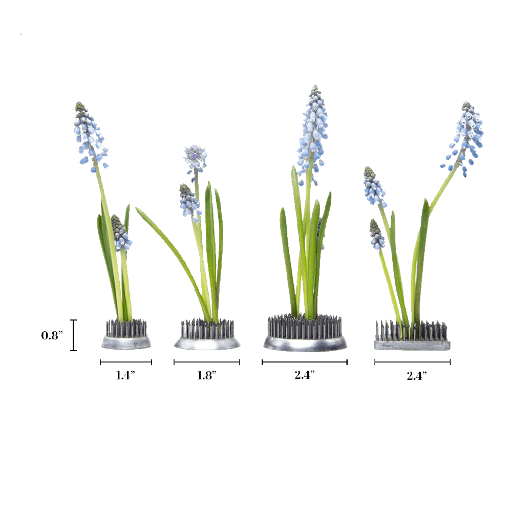 Kenzan Metal Floral Frogs For Ikebana - Chive UK