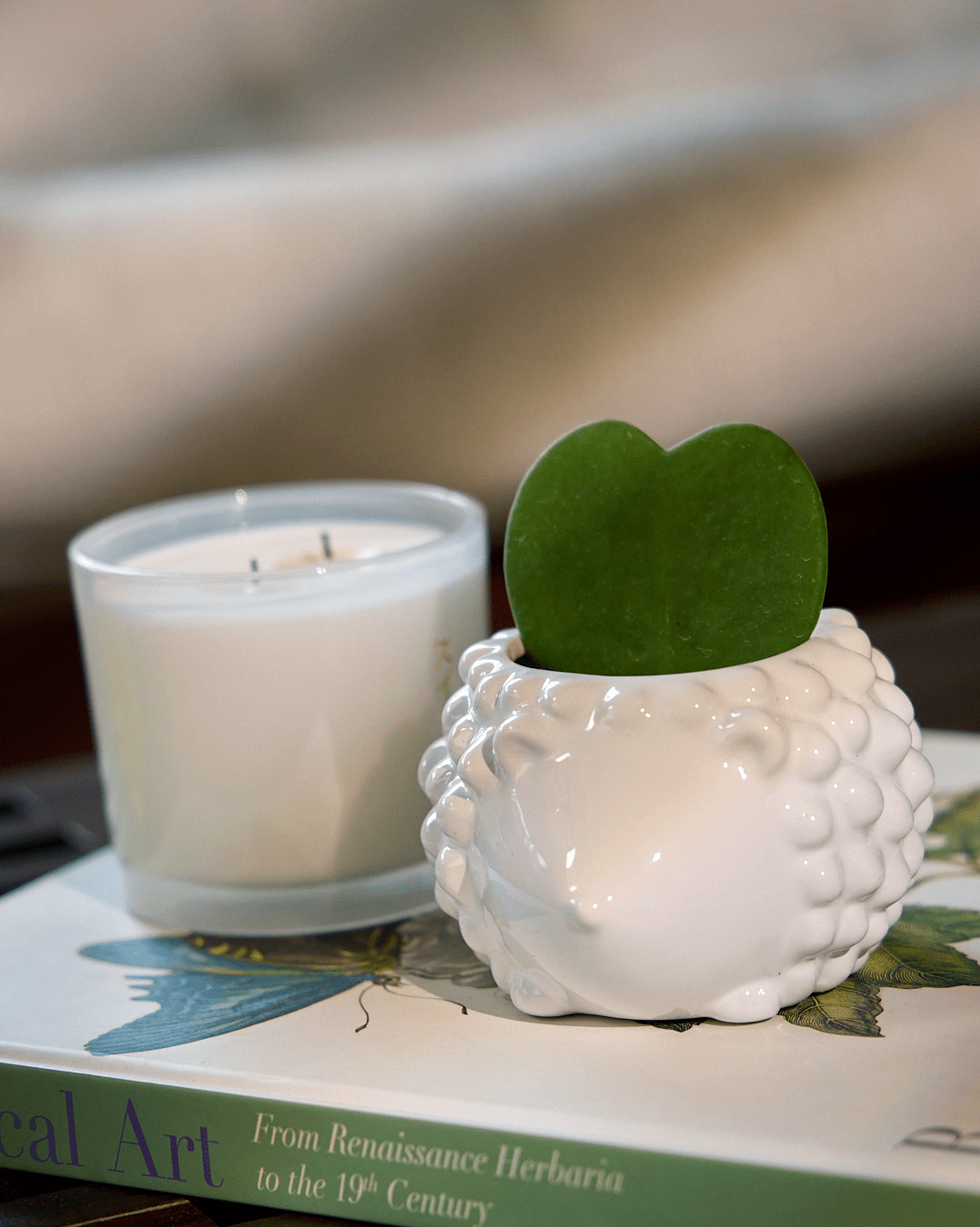 Hedgehog Ceramic Indoor Plant Pot For Succulents - Chive UK