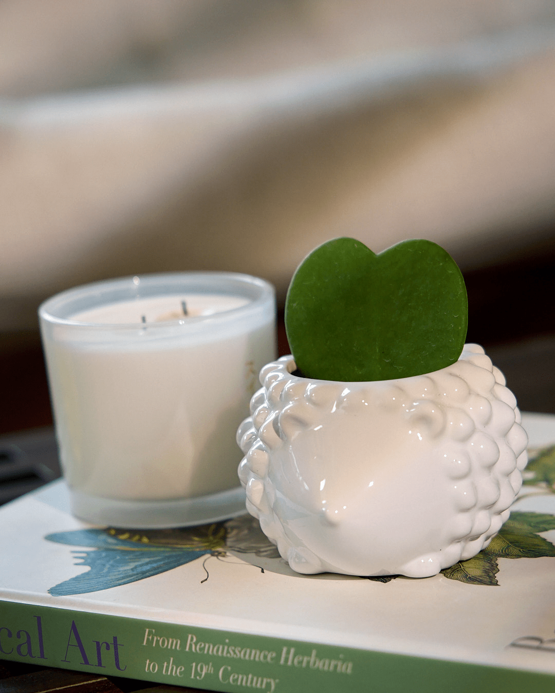 Hedgehog Ceramic Indoor Plant Pot For Succulents - Chive UK