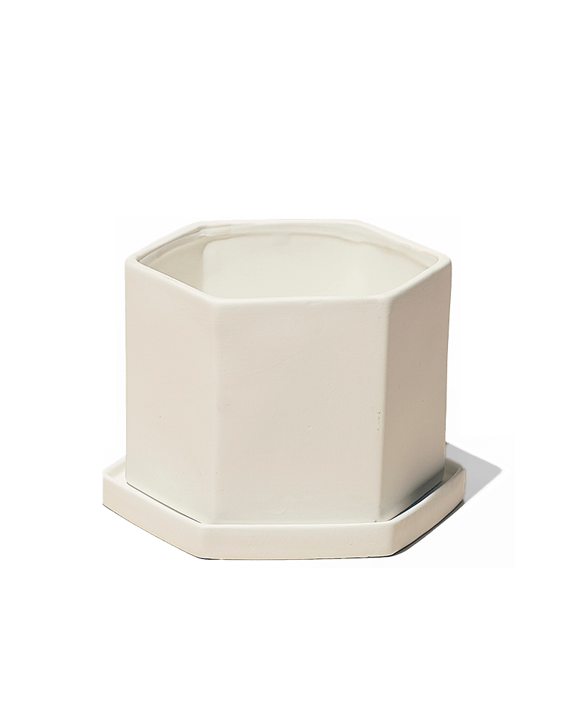 Hexi Porcelain Pot With Drainage Hole - Chive UK