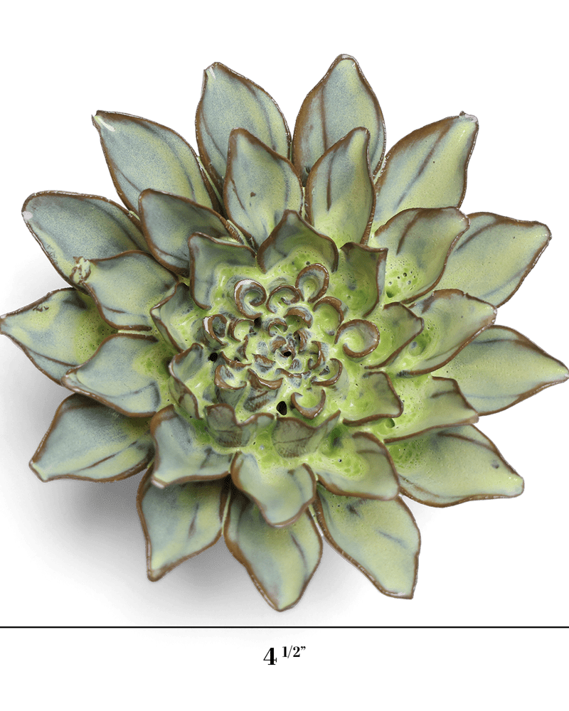 Japan Ceramic Flower Green Aster - Chive UK